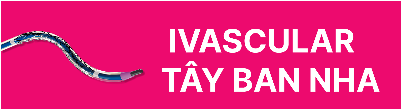 iVascular Tây Ban Nha