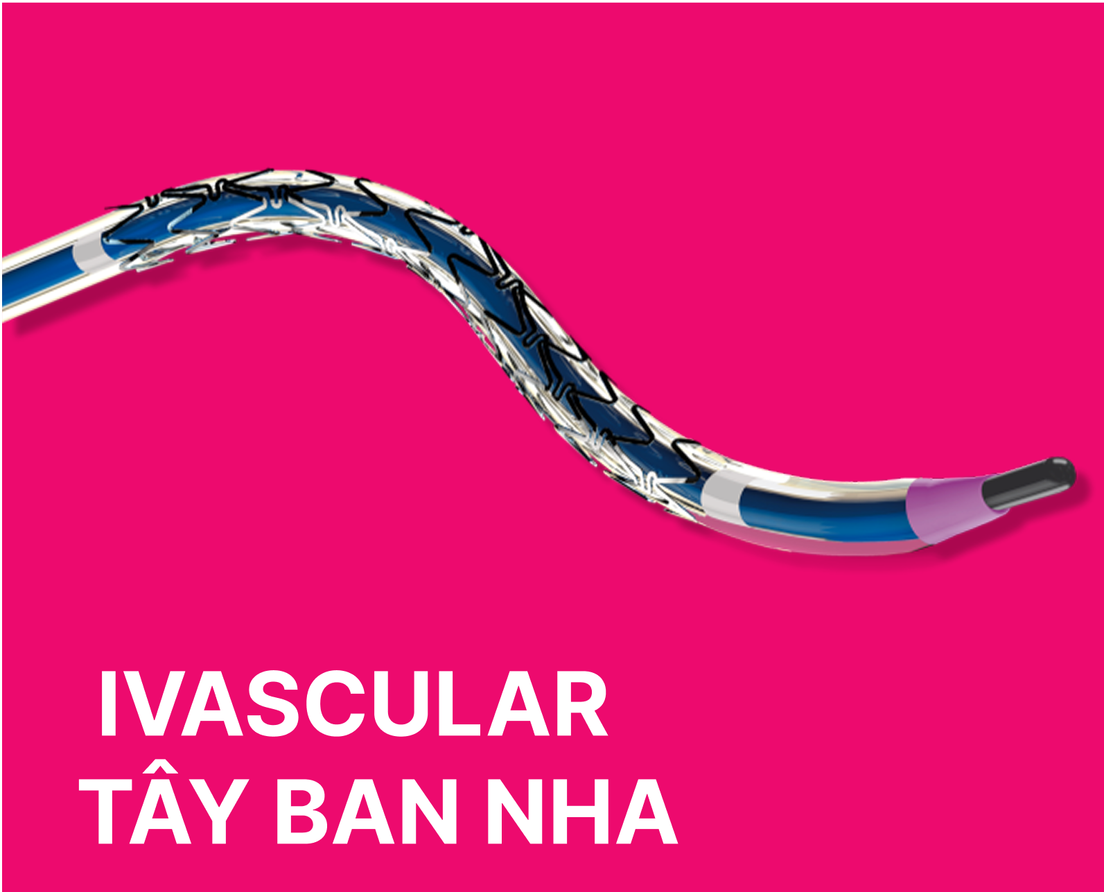 iVascular Tây Ban Nha